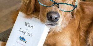 Hund mit Brille prüft Angaben